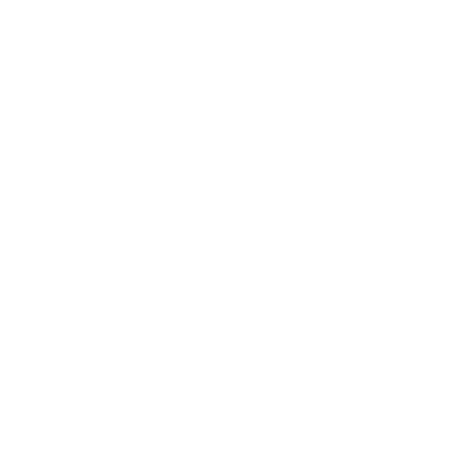 w3c-icon